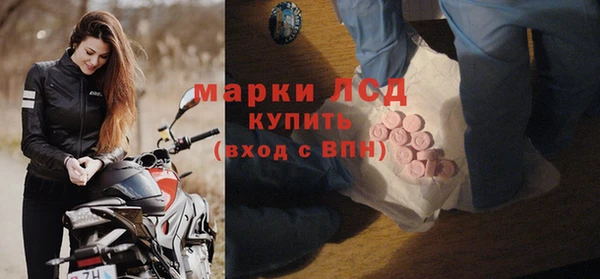 шишки Гусиноозёрск